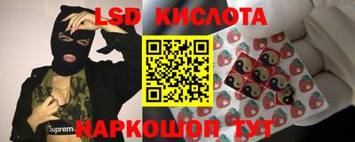 соль ск Будённовск