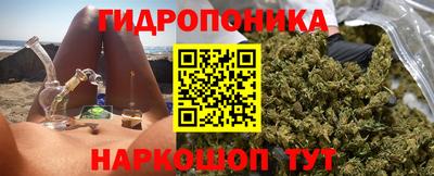 крисы Бузулук